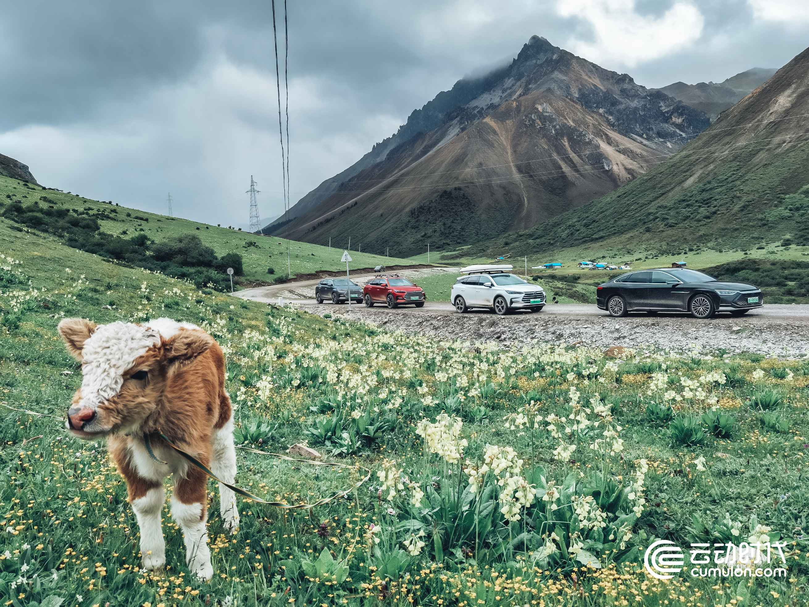 云動時代 云動時代